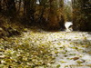 Morteza_Saberi_Aban93 (6)_resize.JPG 